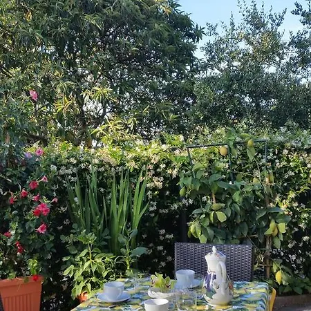 Il Relais Di Bacco Bed & Breakfast