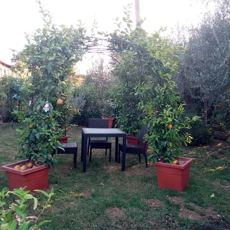 Il Relais Di Bacco Bed & Breakfast *